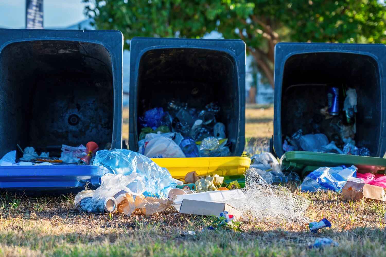 Full-Service Junk Removal in Jordan, NY